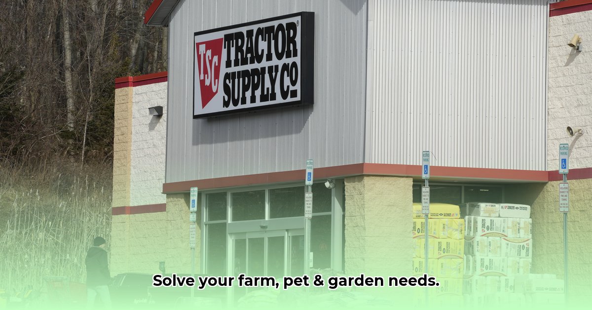 show-low-tractor-supply